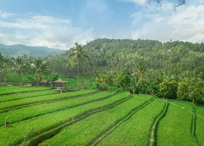 Sande 3* Munduk